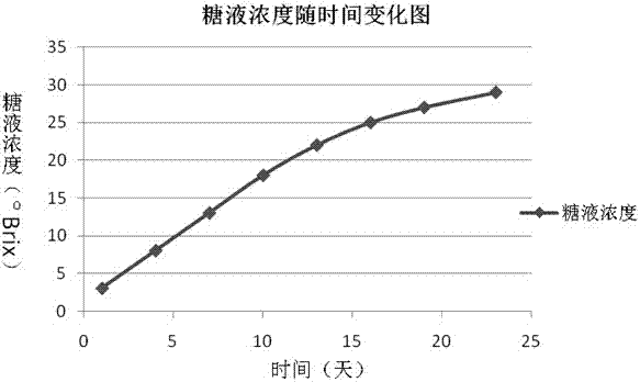 Processing method of plum seedless preserved fruit