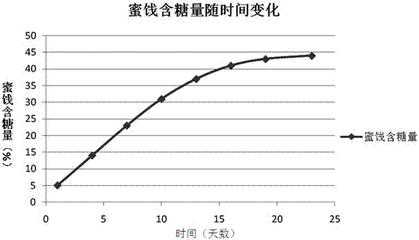 Processing method of plum seedless preserved fruit