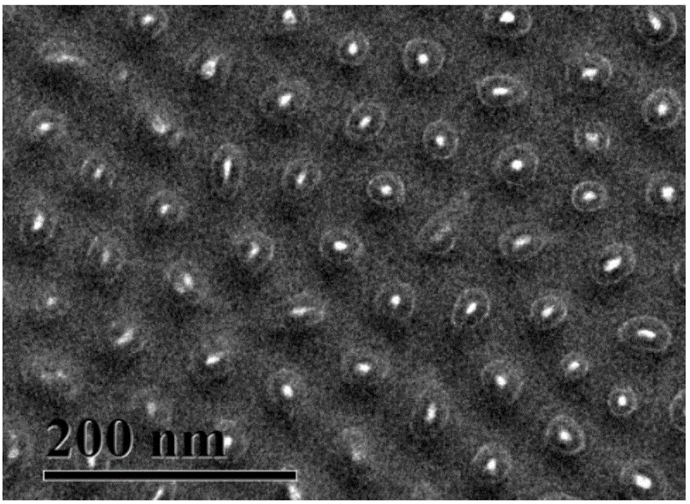 Method for encapsulating homogeneous catalyst in pore channels of mesoporous molecular sieve