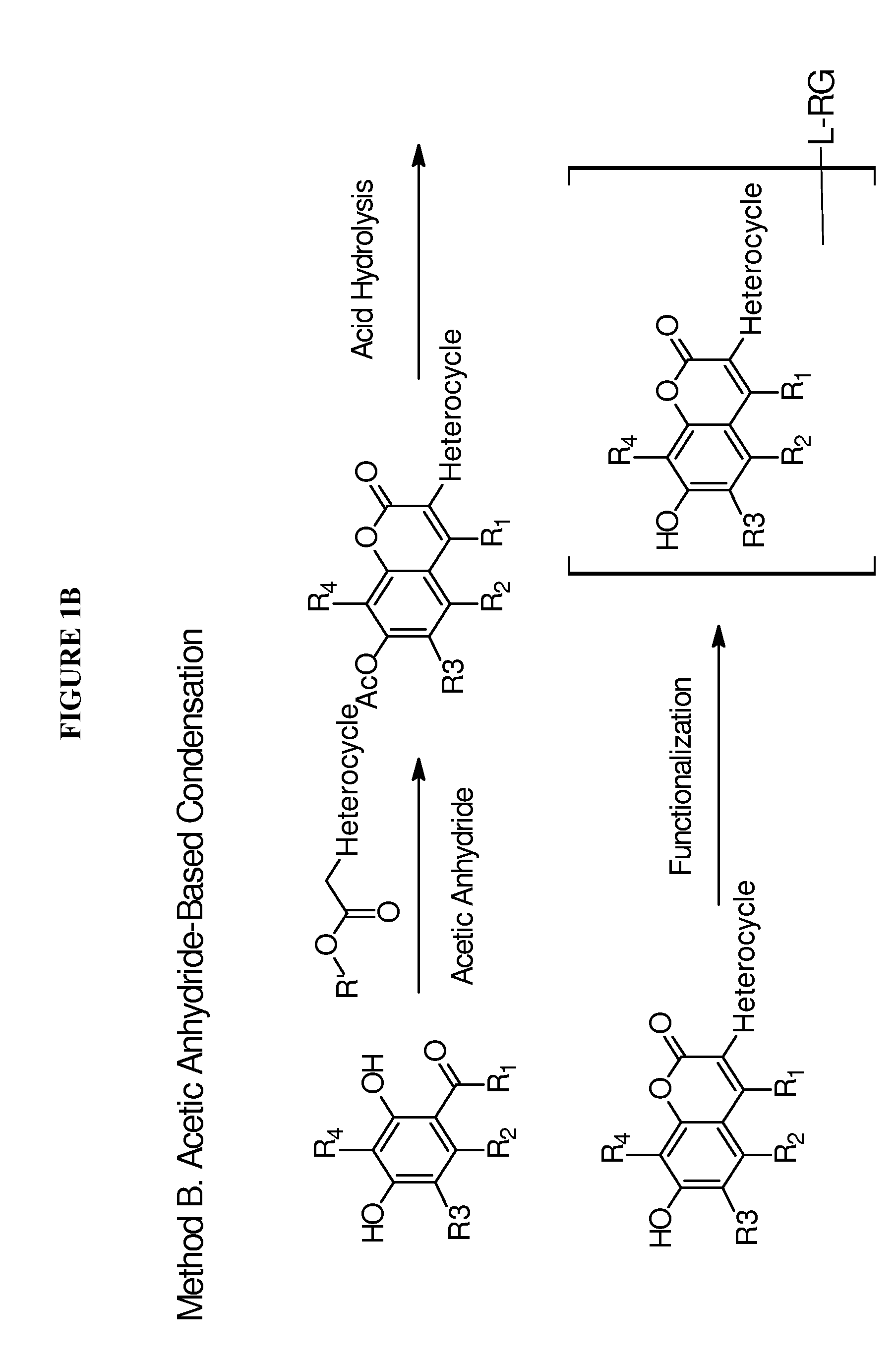 Reactive heterocycle-substituted 7-hydroxycoumarins and their conjugates