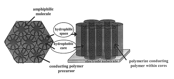 Liquid crystal-templated conducting organic polymers