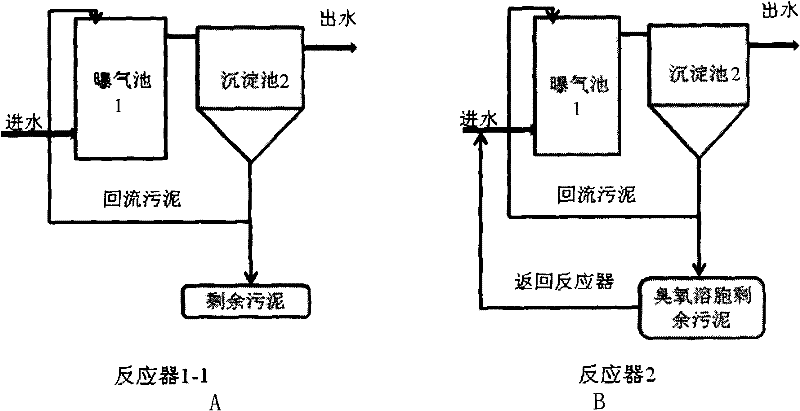 Method for promoting growth and nitrification activity of amine salt oxidizing bacteria in activated sludge