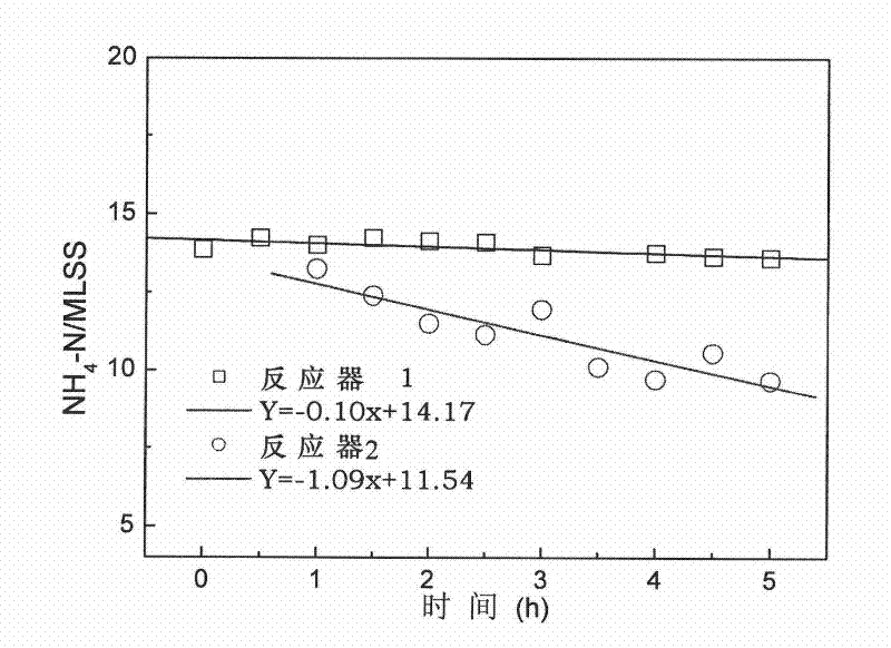 Method for promoting growth and nitrification activity of amine salt oxidizing bacteria in activated sludge