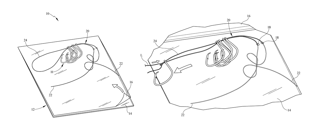 Fishing hook packaging system