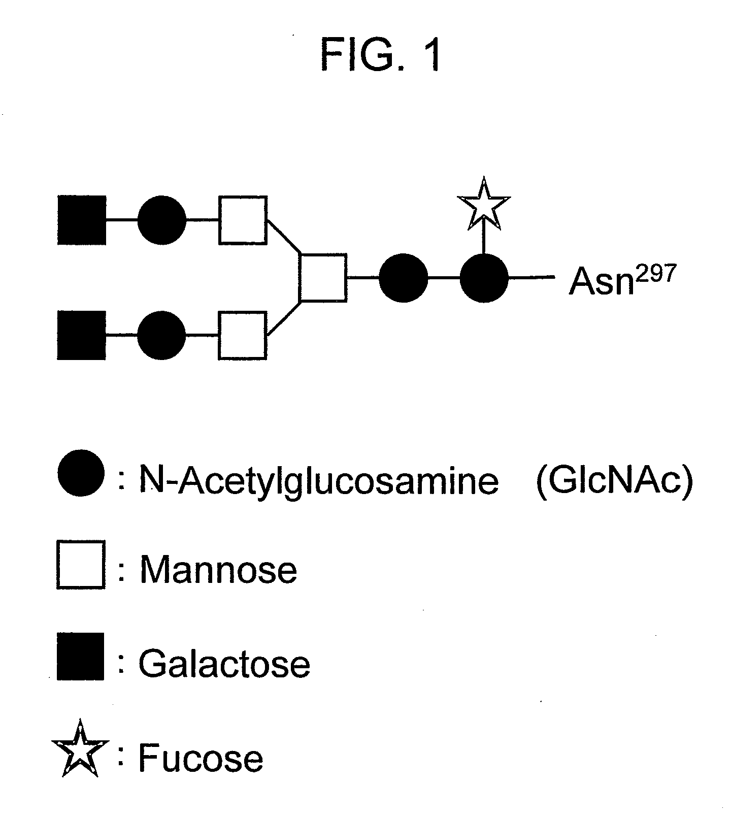 Effector function enhanced recombinant antibody composition