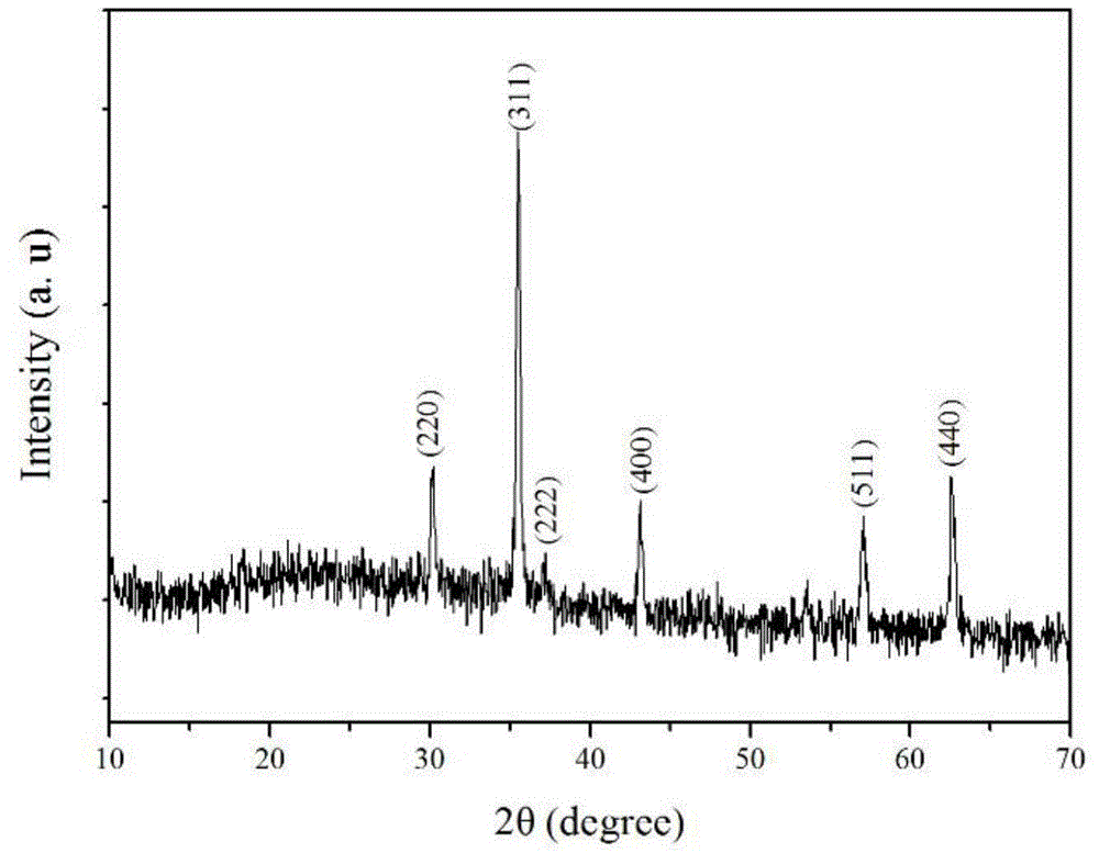 Micro/nano-structure velvet-flower-shaped Fe3O4 and preparation method thereof