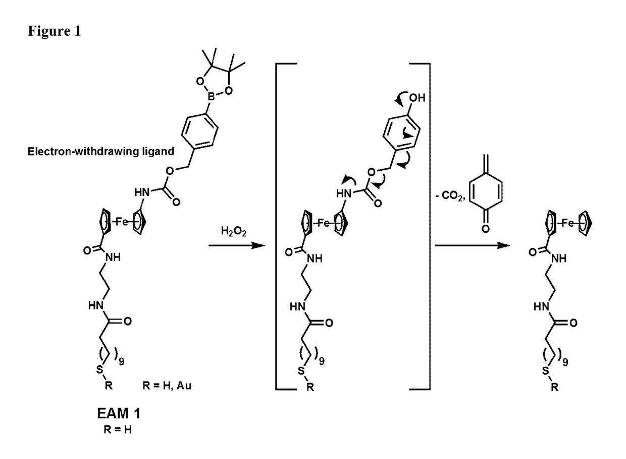 Single, direct detection of hemoglobin A1c percentage using enzyme triggered redox altering chemical elimination (e-trace) immunoassay