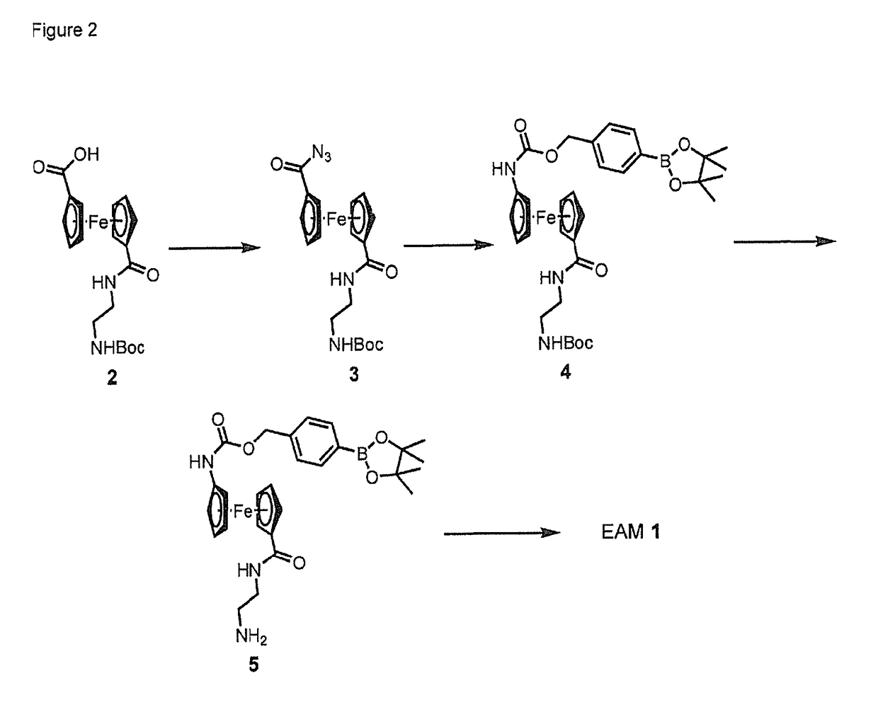 Single, direct detection of hemoglobin A1c percentage using enzyme triggered redox altering chemical elimination (e-trace) immunoassay