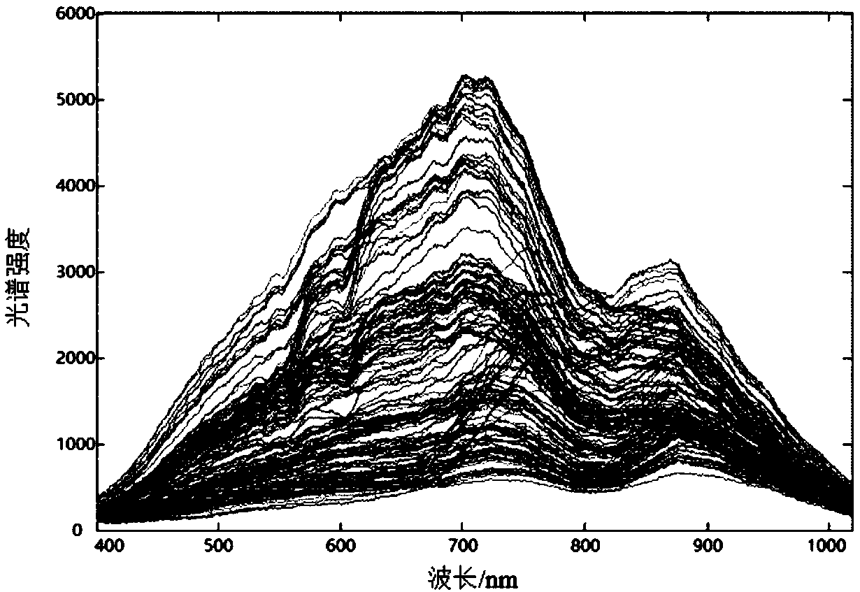 Method for identifying quality of Chinese mitten crabs based on hyperspectral image technology