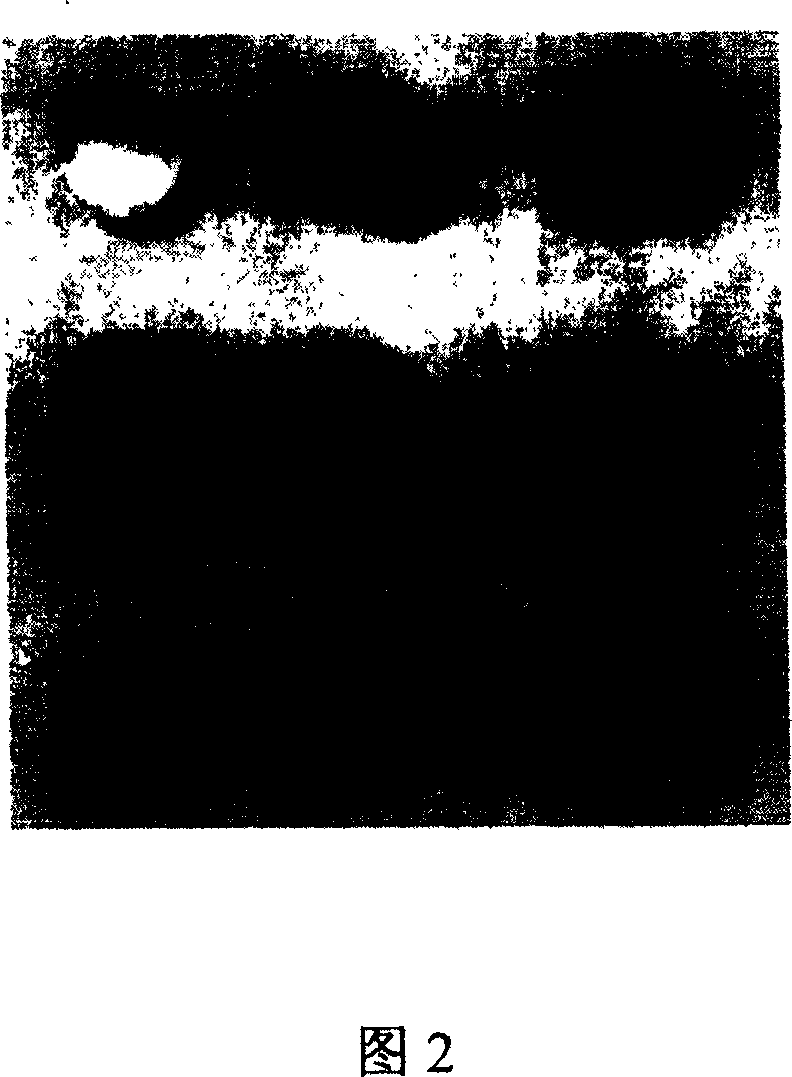 Ceramics of containing powder body of cubic silicon nitride, and preparation method