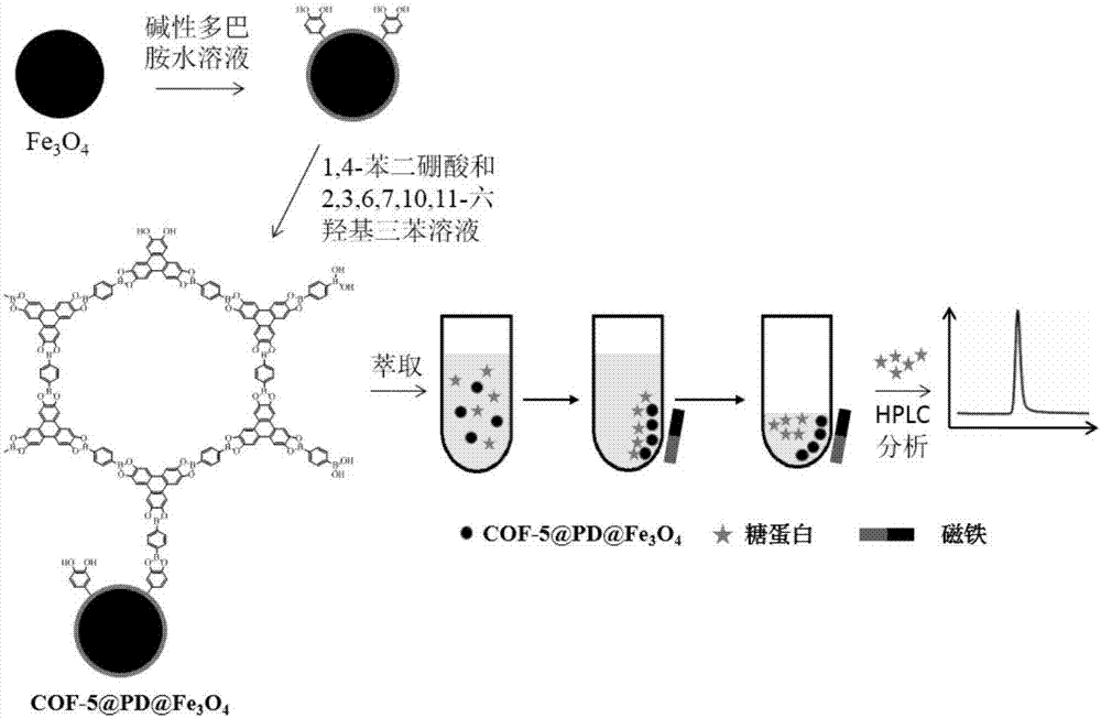 Magnetic solid-phase extraction agent based on covalent organic framework material and preparation method and application thereof