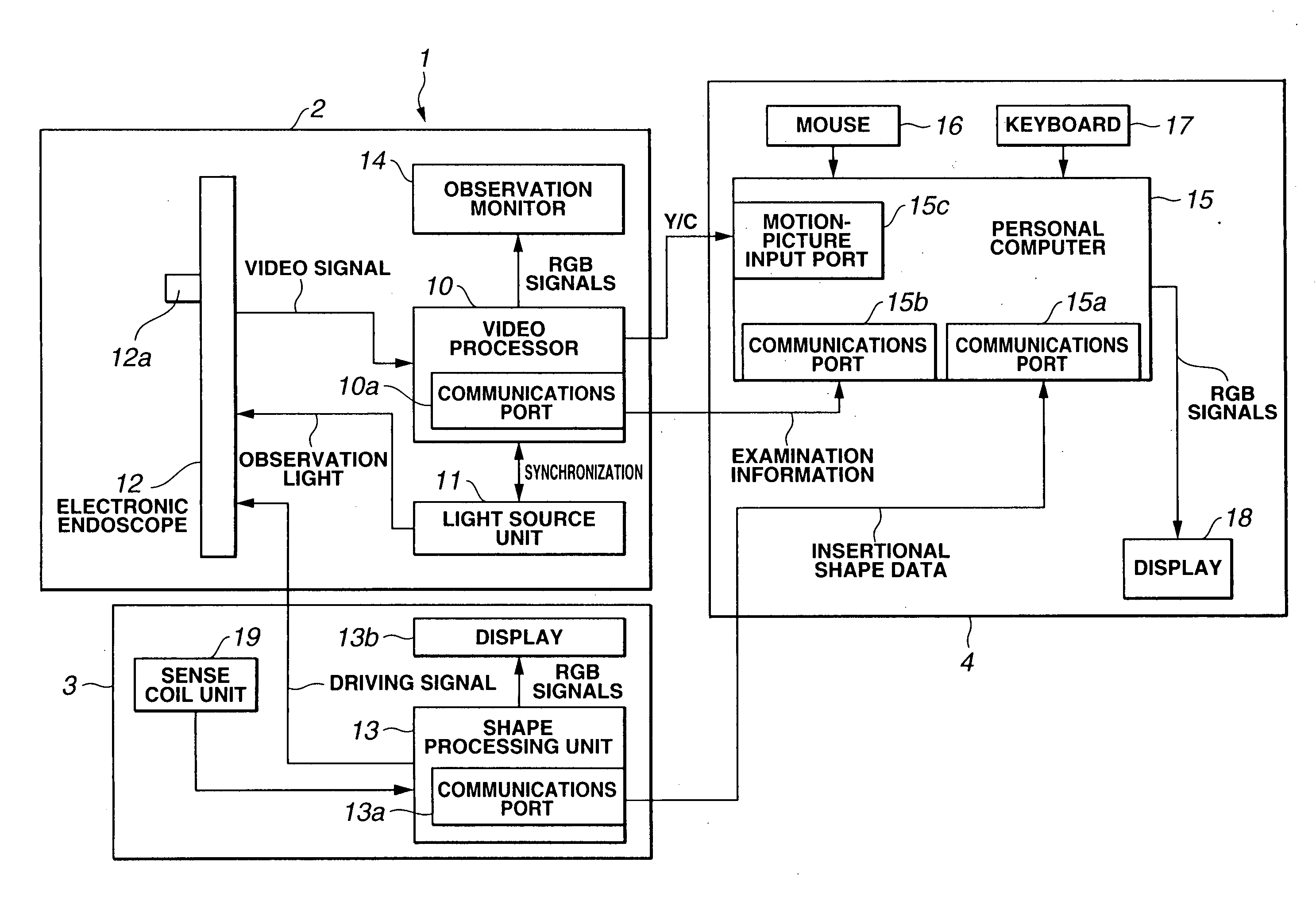 Endoscope information processor and processing method