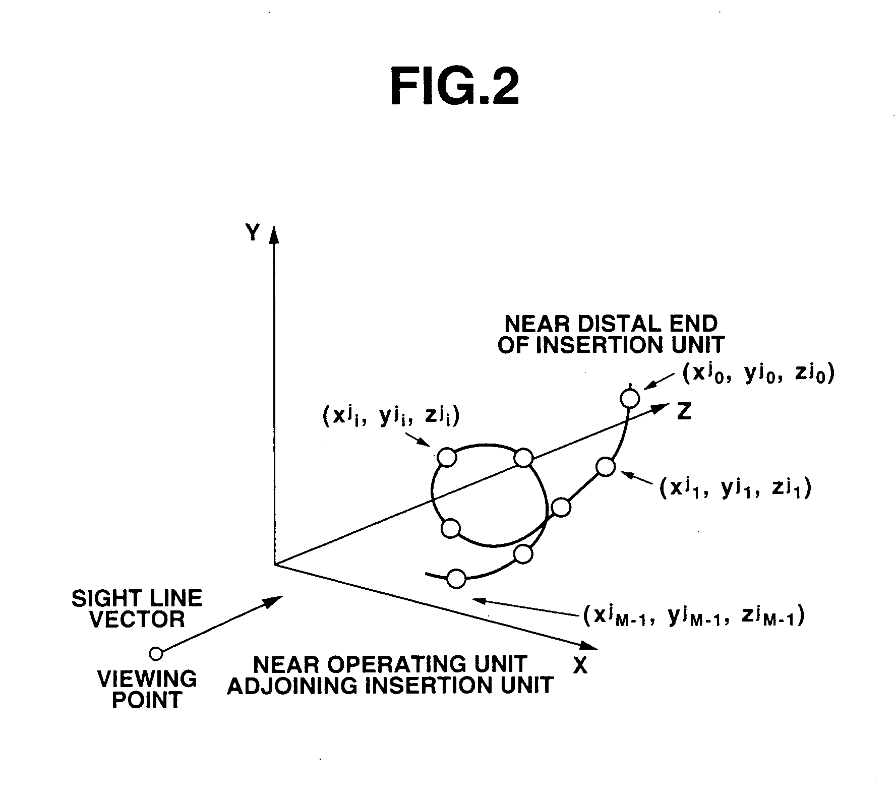 Endoscope information processor and processing method