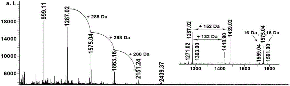 Novel tyrosinase inhibitor