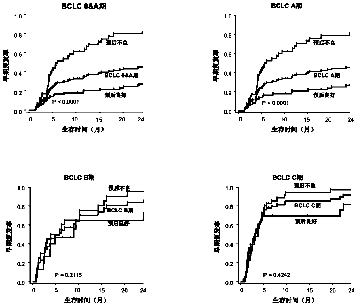 A system for predicting the prognosis of patients with liver cancer