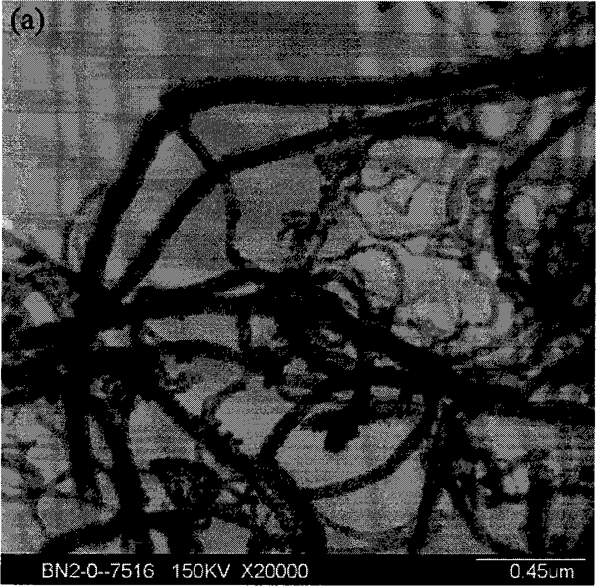 Method for preparing boron nitride coating carbon nano-tube/nano-wire and boron nitride nano-tube