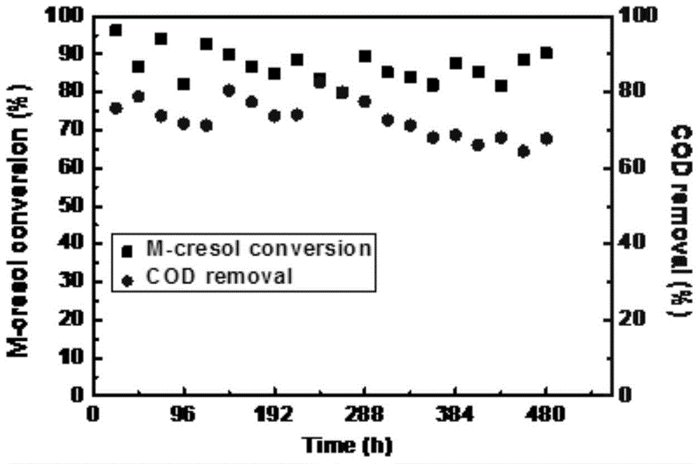 Activated carbon catalyst used for Fenton-like technology, and preparation and application thereof