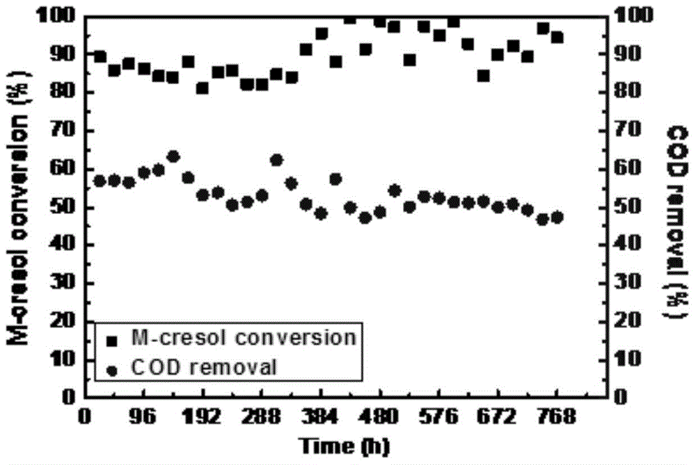 Activated carbon catalyst used for Fenton-like technology, and preparation and application thereof