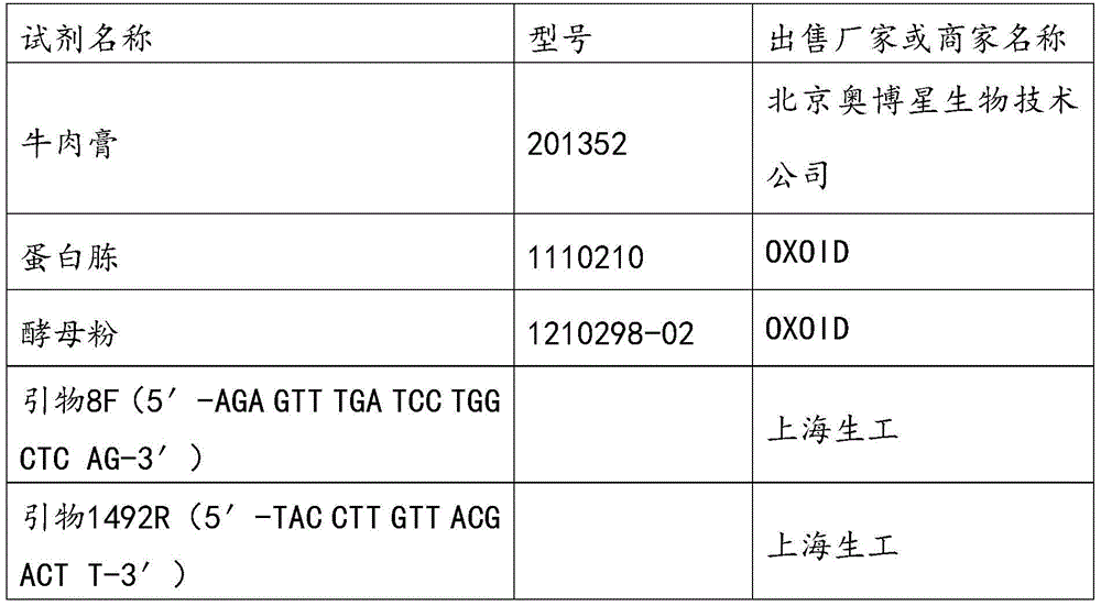 A kind of rhodobacter strain and its bacterial agent and its preparation and application