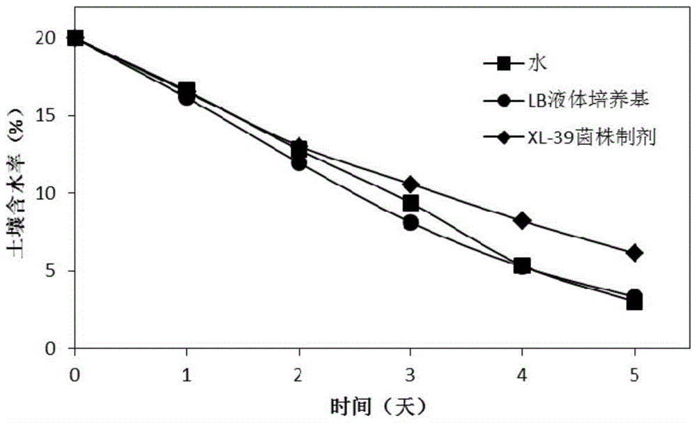 A kind of rhodobacter strain and its bacterial agent and its preparation and application