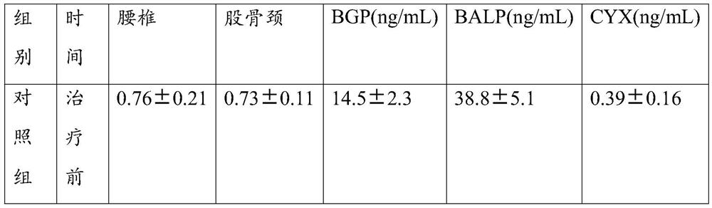 Compound bone collagen and preparation method thereof