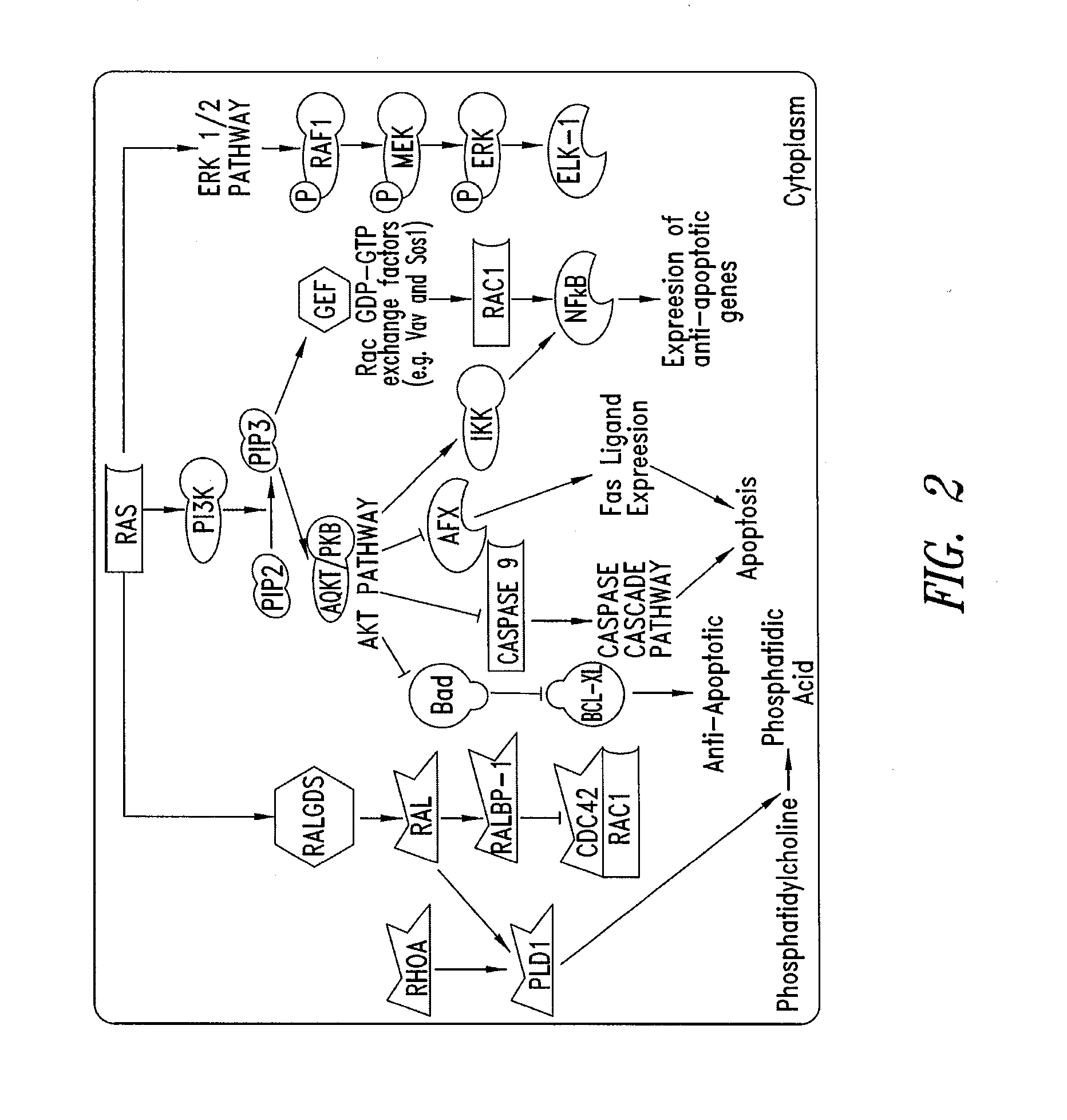 Substituted quinazoline compounds and methods of use thereof