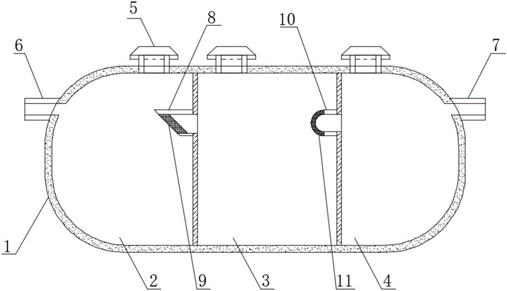 Ecological septic tank