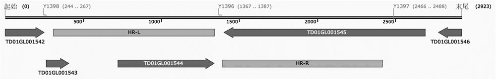 A community of microbial gene expression destiny and its construction method and application