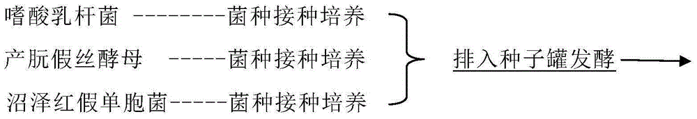 Ruminant chitosan oligosaccharide complex probiotic preparation