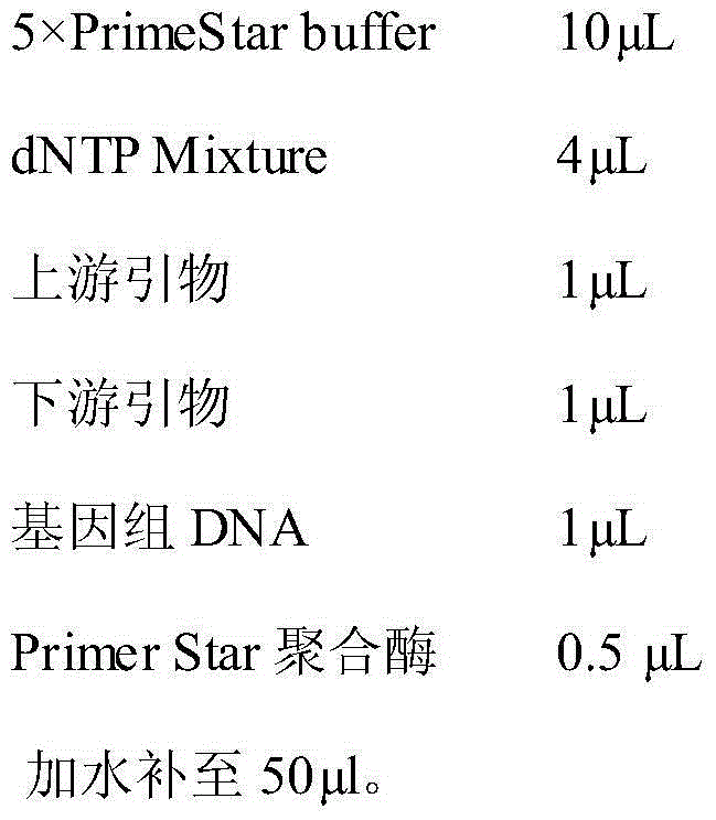 Alkaline pectase mutant with improved heat resistance