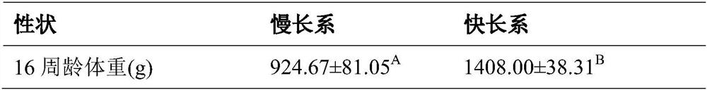 A kind of miRNA related to side chicken body weight and its application