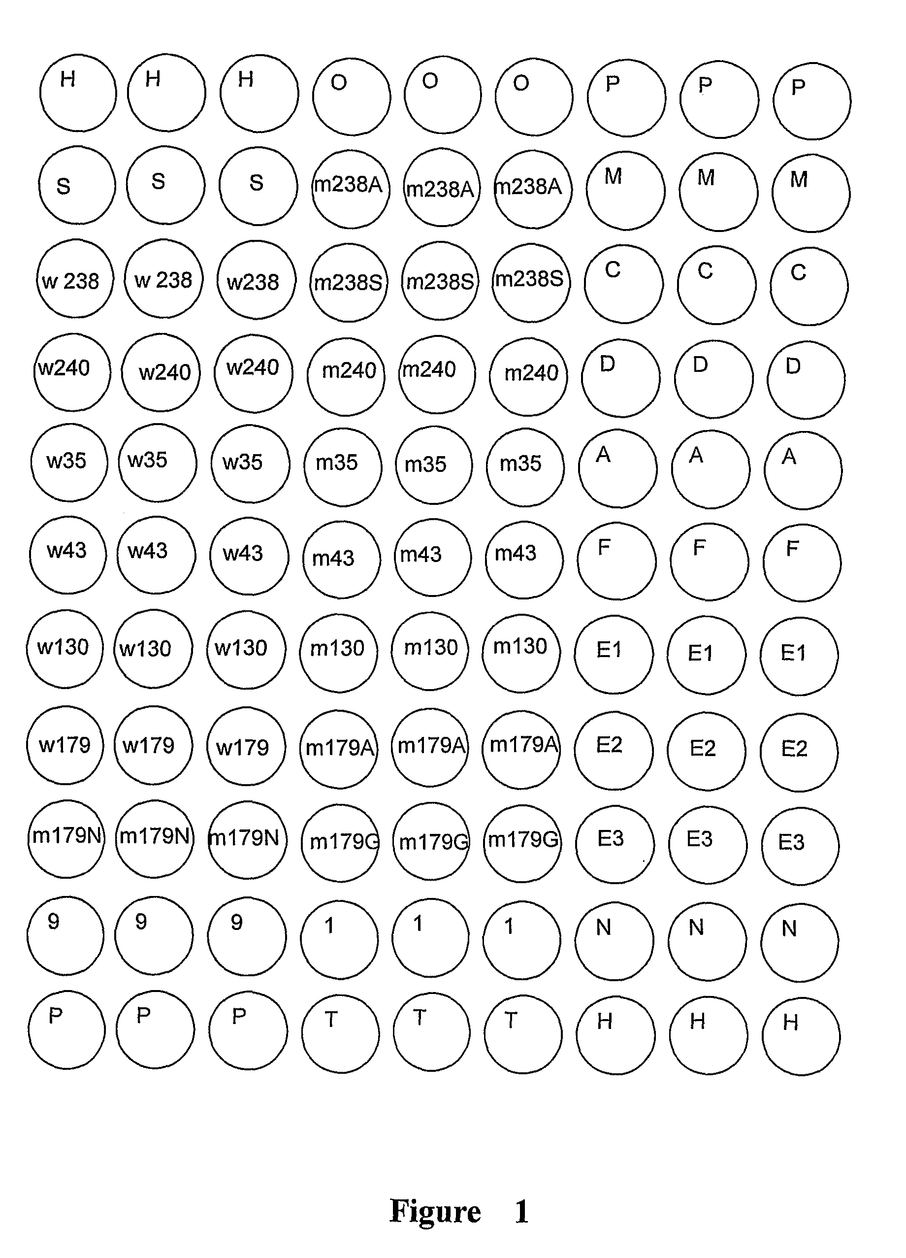 Methods, microarray, and kits for detection of drug resistance genes in gram-negative bacteria