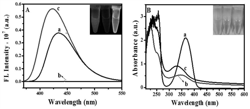 Preparation method and application of fluorescent test strip for trace water analysis in organic reagents