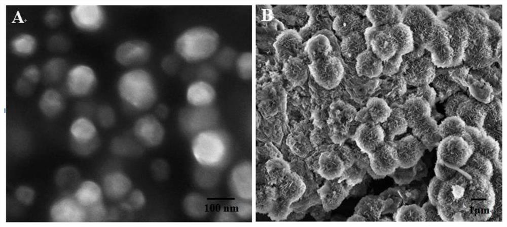 Preparation method and application of fluorescent test strip for trace water analysis in organic reagents