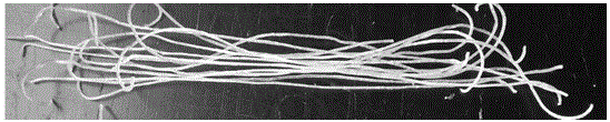 Enzyme silk noodle preparation method, wherein alum is replaced by starch branched chain hydrolytic enzymes