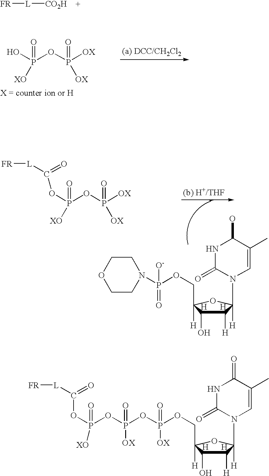 Real-time sequence determination