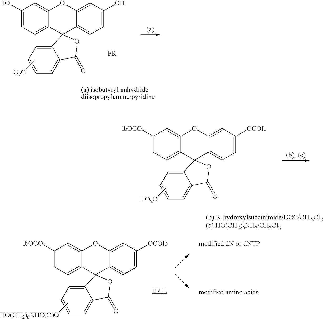 Real-time sequence determination