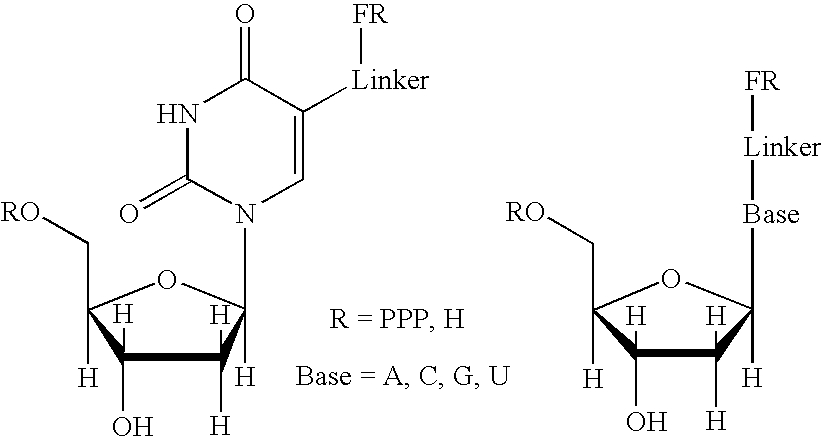 Real-time sequence determination