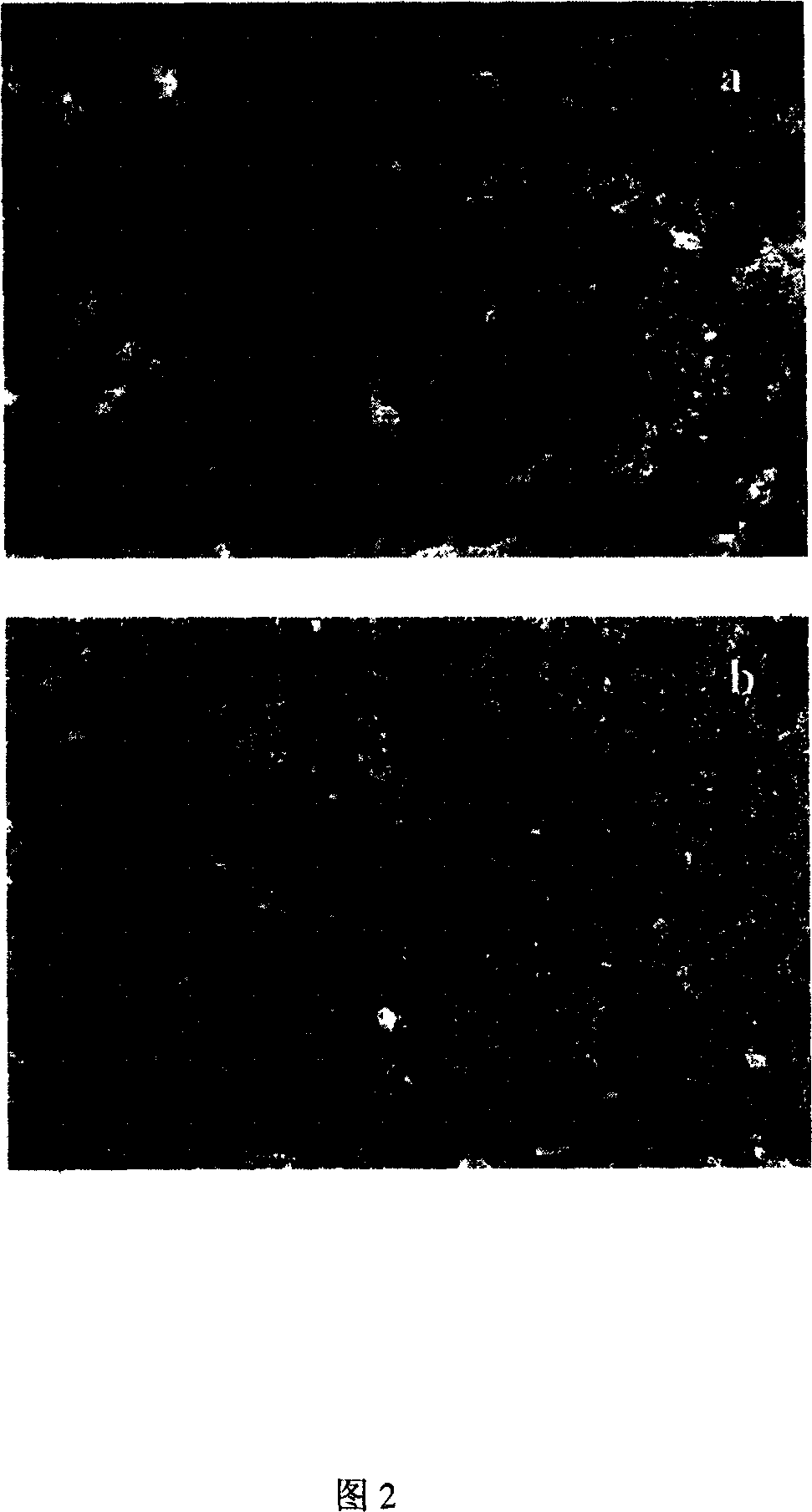 Method for improving emission property of deposited carbon nano-tube thin film electronic field by electrophorisis method