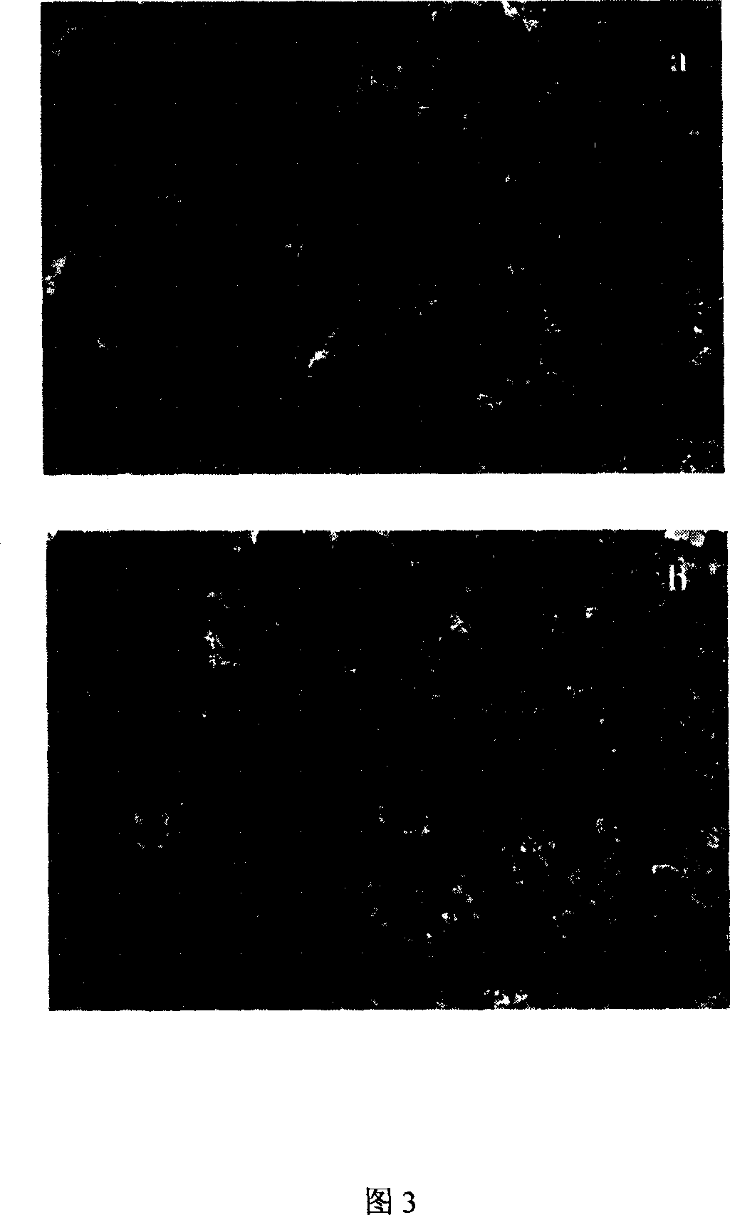 Method for improving emission property of deposited carbon nano-tube thin film electronic field by electrophorisis method