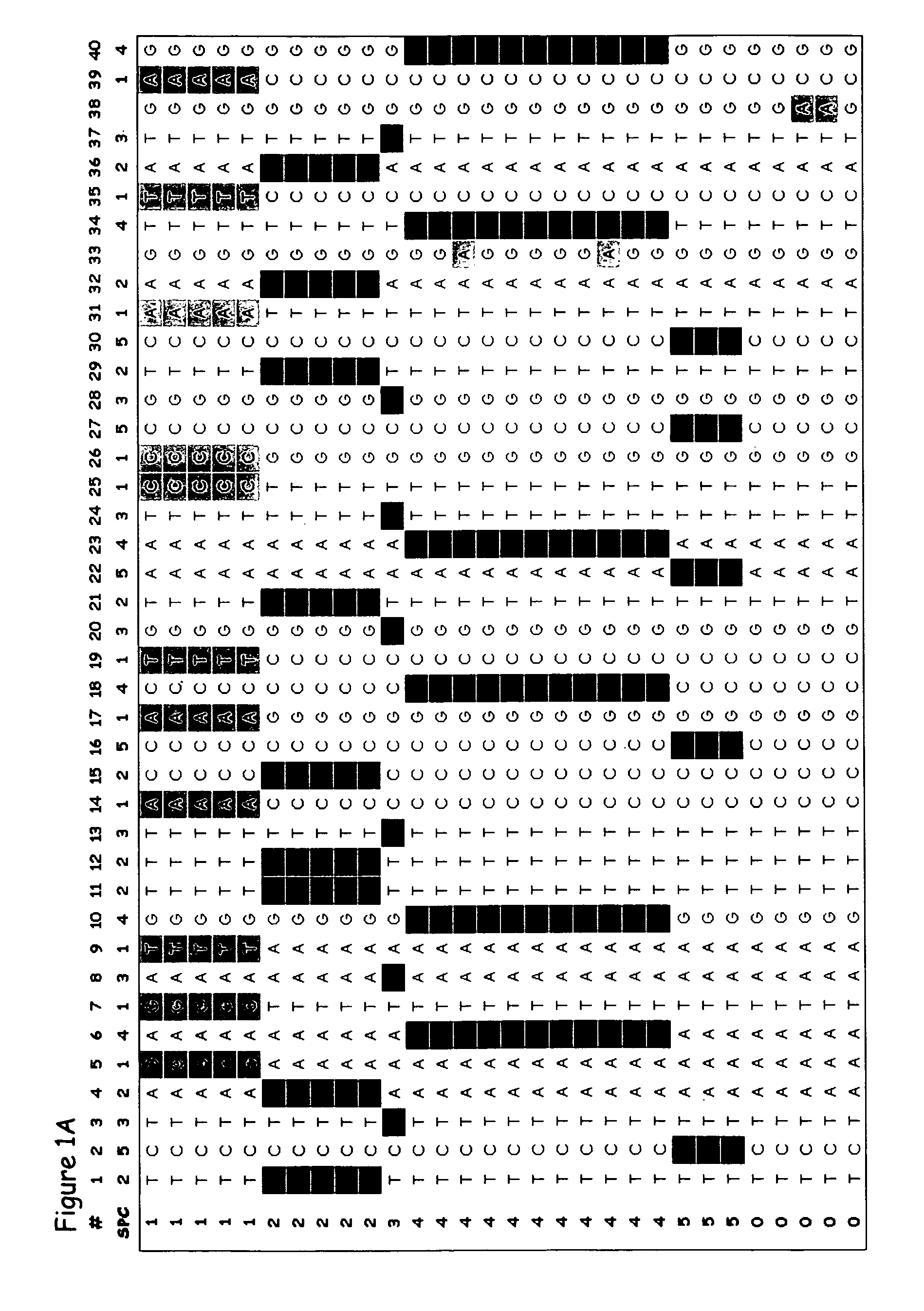 Genetic diagnosis using multiple sequence variant analysis