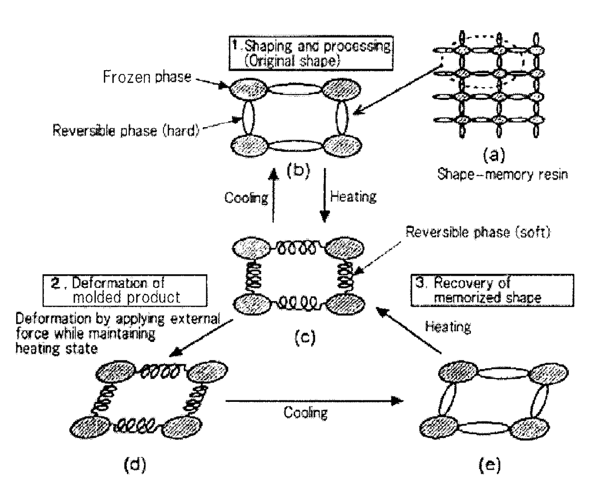 Shape-memory resin, molded product composed of the resin, and method of using the molded product