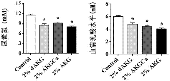 Application of alpha-oxoglutarate (salt) in aspects of fatigue resistance and muscle strength improvement