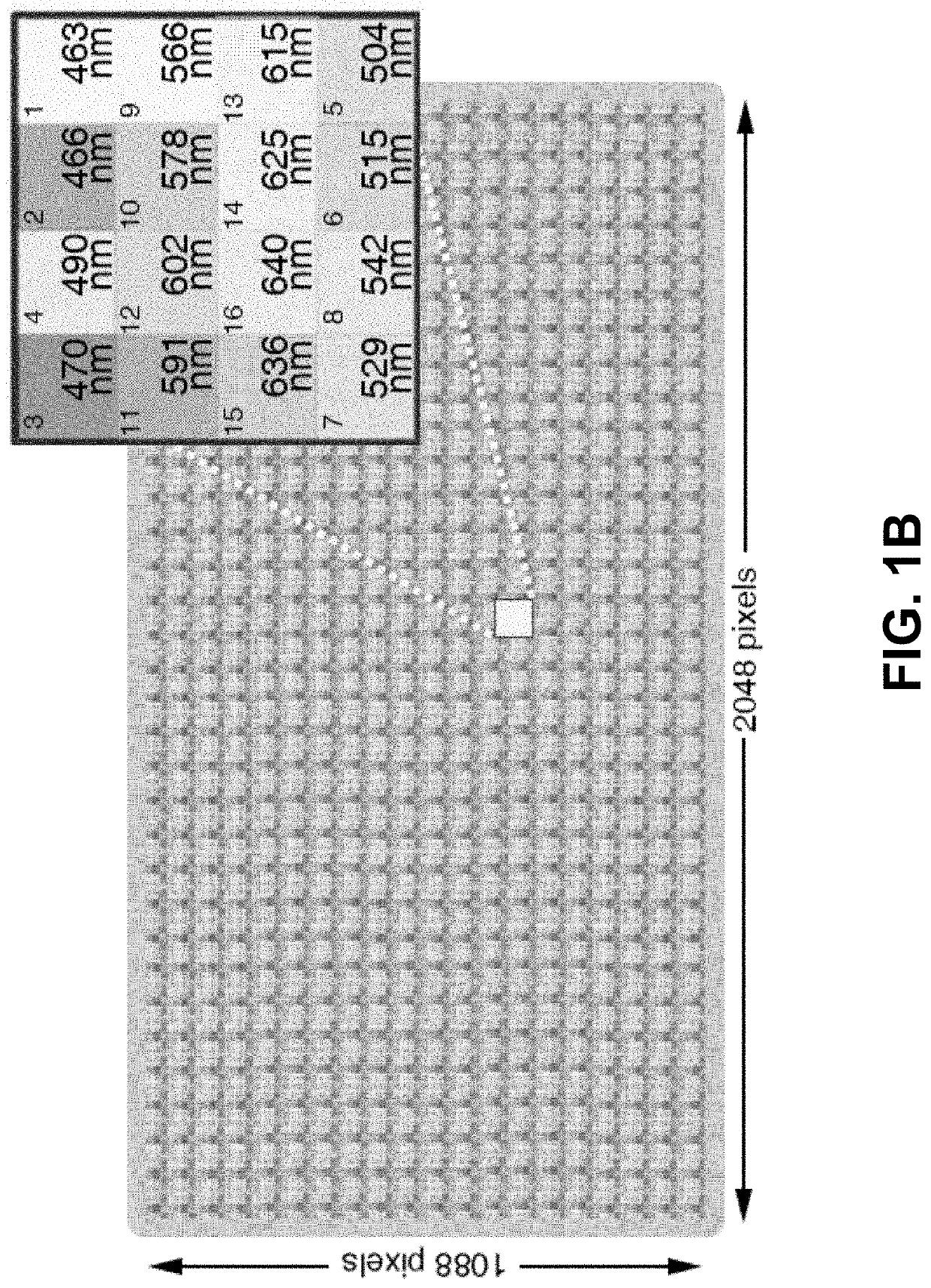 Platform and methods for dynamic thin film measurements using hyperspectral imaging