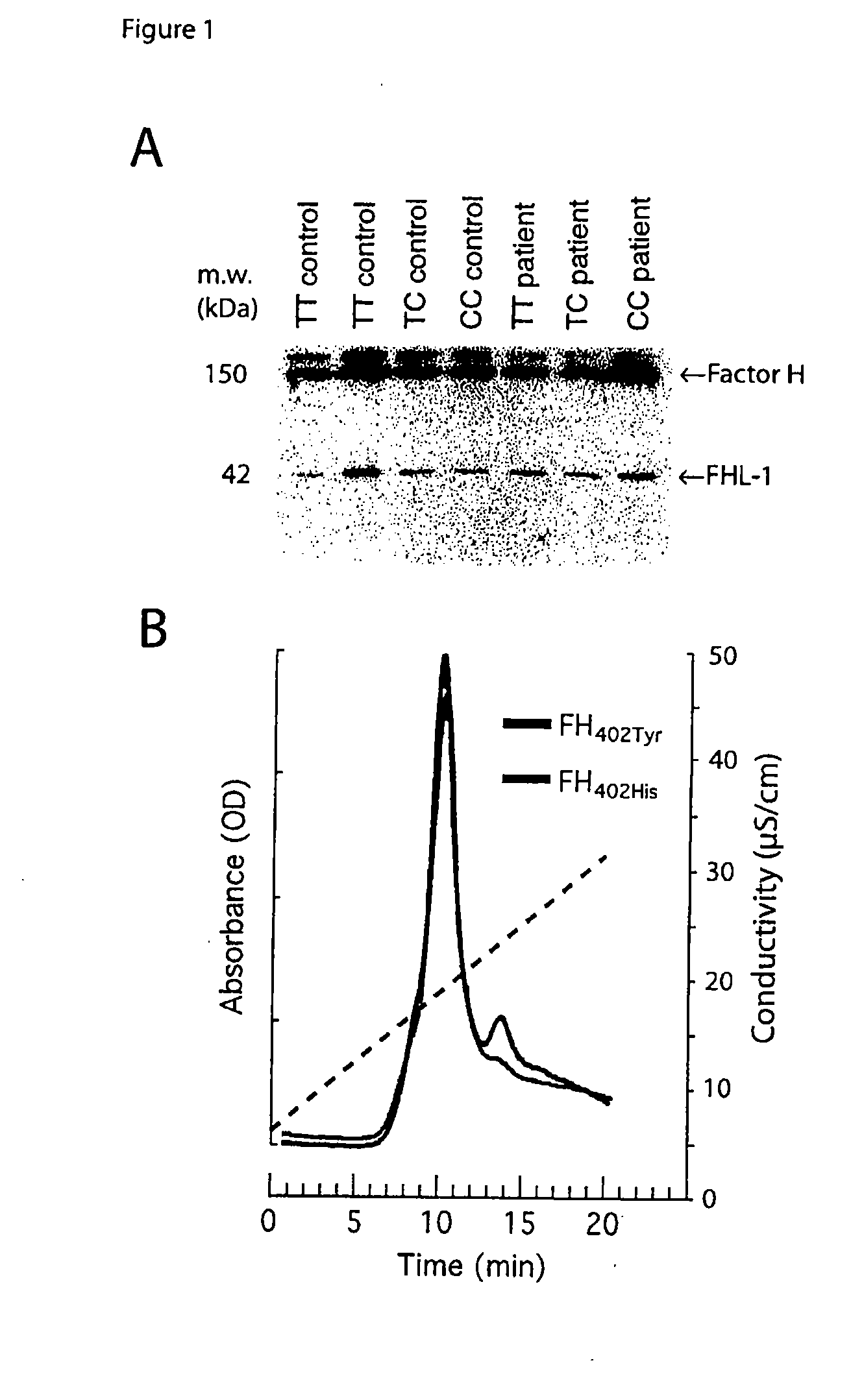 Binding of complement factor h to c-reactive protein