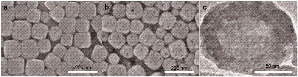 Targeted nanoparticle carrier for carrying bladder cancer treating drug and preparation method and application thereof