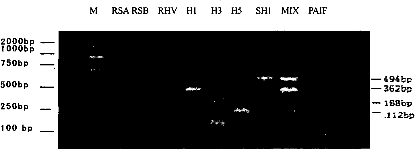 Kit for identifying subtypes of influenza A virus