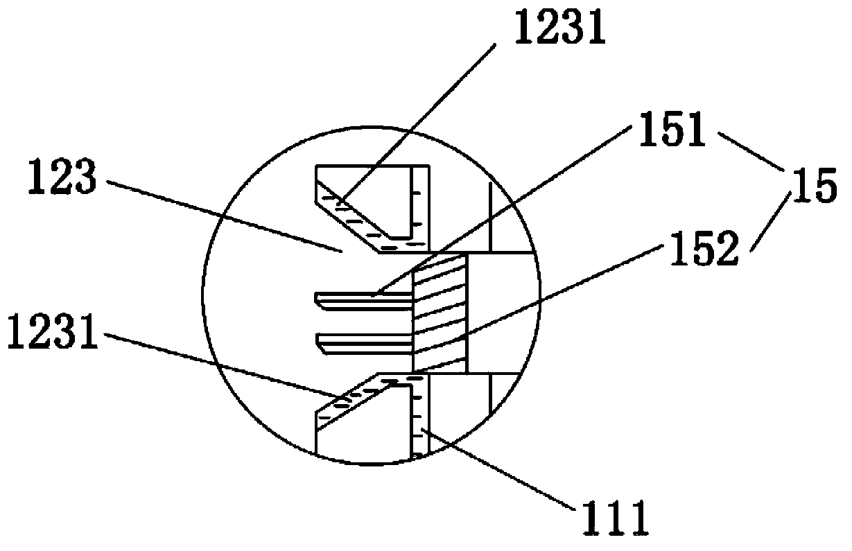 Biomass combustion machine