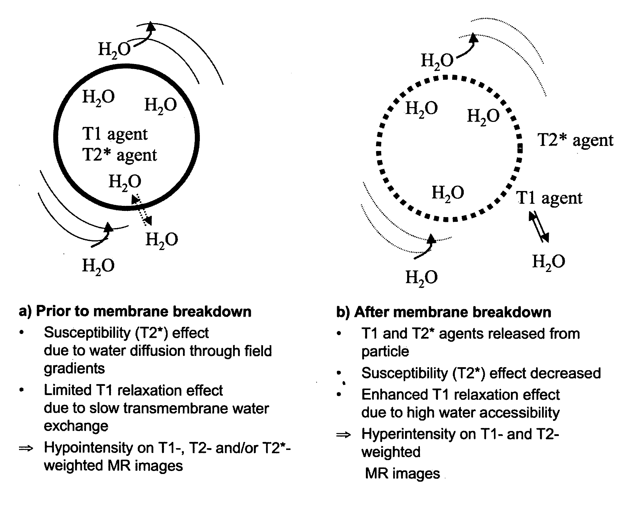 MRI trackable drug delivery particles, uses and methods thereof