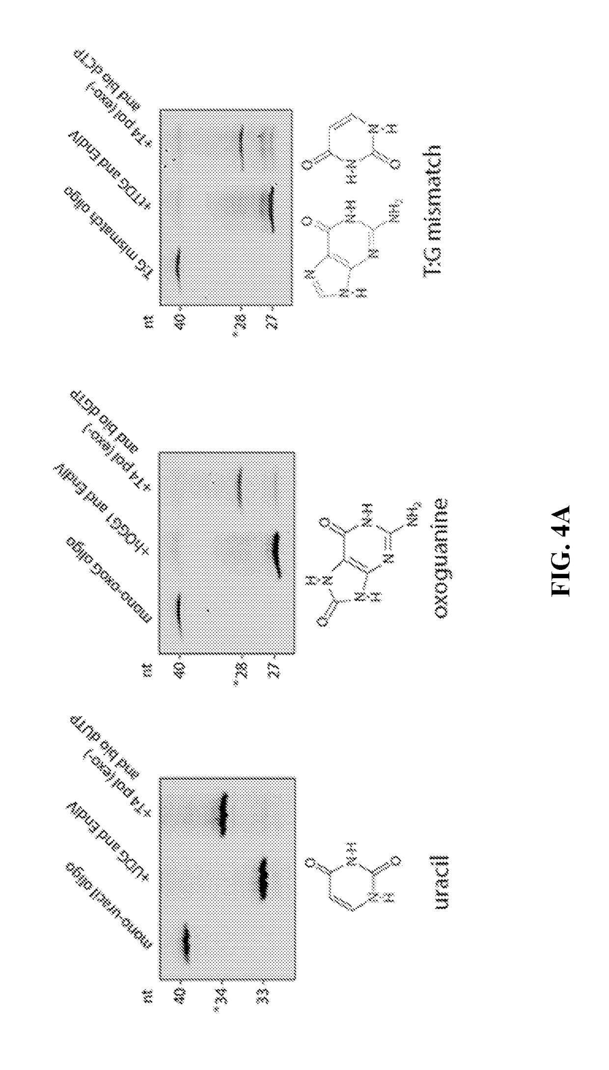 Identification of genetic modifications